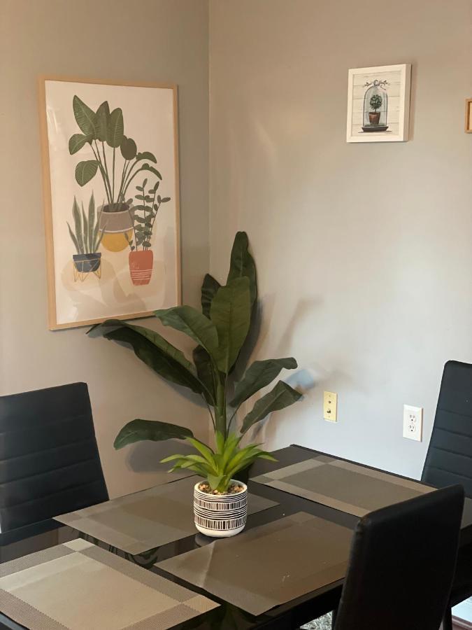 Apartmán Cute 2-Brm Walkout Apt With Pool Table And Theater Lexington Exteriér fotografie